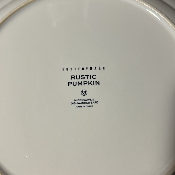 Pottery Barn Rustic Pumpkin Dinner Plates BNIB - Picture 5 of 7